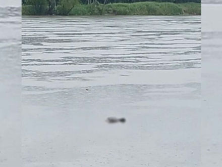 Corpo em avançado estado de decomposição encontrado no Rio Iguaçu é de um homem de 33 anos