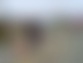 Mãe conduz moto com 4 filhos na garupa, colide em ônibus e um morre