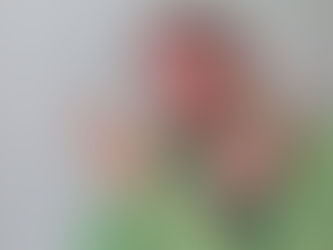 ​Humorista Marquito sofre acidente em SP e está internado em estado grave