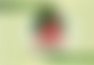 Canoinhas sedia encontro regional sobre o Plano Municipal de Educação