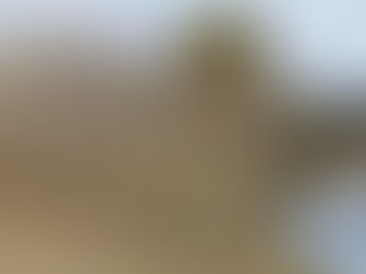 Carro bate na BR-101, motorista foge e 104kg de maconha são apreendidos