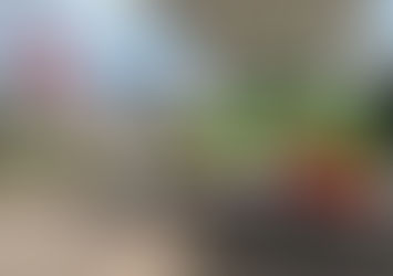 Solidariedade com Asas: Força-Tarefa Agiliza Transporte de Órgão no Planalto Norte