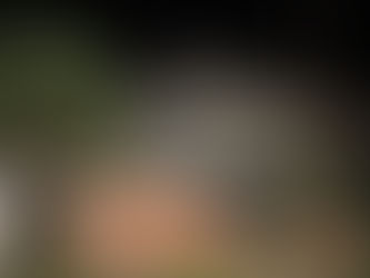 Suspeito de matar quatro pessoas é preso e confessa crime, diz PM