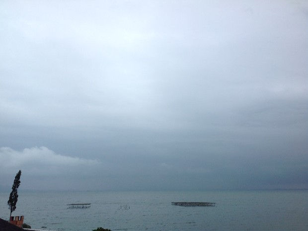 foto_1_2.jpg