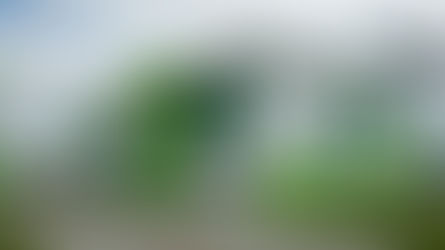 IFSC abre vagas para professores substitutos em Canoinhas e região