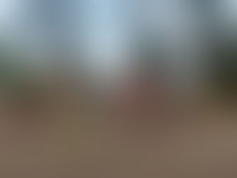 Joinville tem 3º protesto em uma semana contra alta na tarifa de ônibus