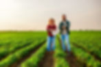 family-agricultural-occupation-man-woman-are-cultivating-soybean.jpg