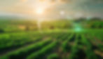 cuttingedge-technology-sustainable-agricultural-practices-future-aig (1).jpg