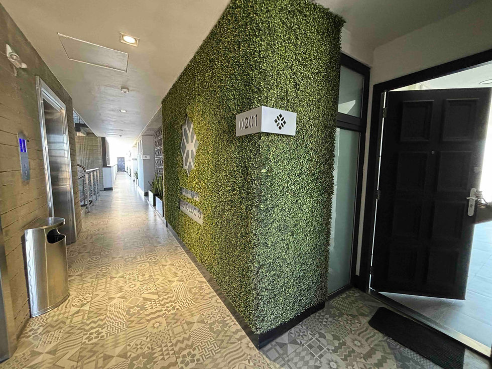 Departamento entrada