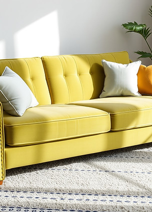 fresh and clean sofa and carpet setting.jpg