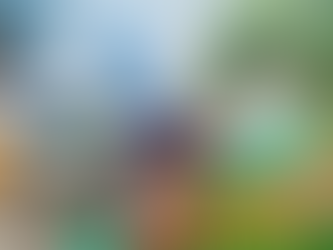 Kamer- en tuinplanten zonder gif