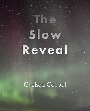 The Slow Reveal Half Cover.png