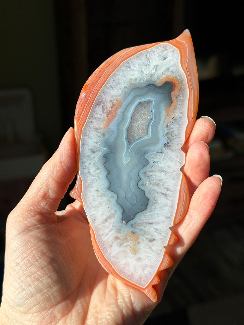 Thumbnail: Small Carnelian Lace Agate Butterfly, Statement Piece!