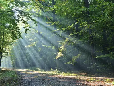 Opt-In Option for 18 Month Open Work Permit Extension