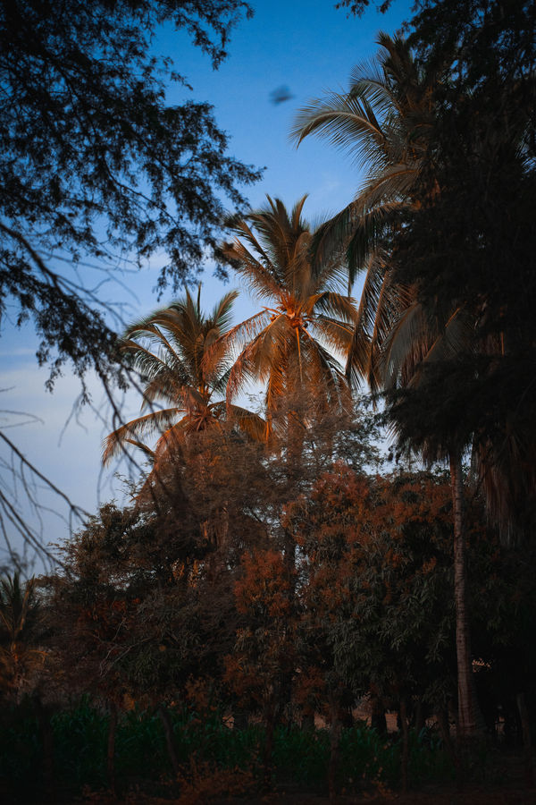 C9F4A232-F259-46BB-9AC5-F962A71023D3.jpeg
