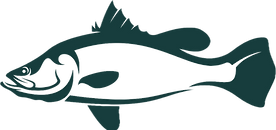 barramundi-fish-fishing-template-vector-43159332.png