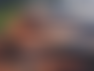 EXPANSION OF THE INDUSTRIAL PARK