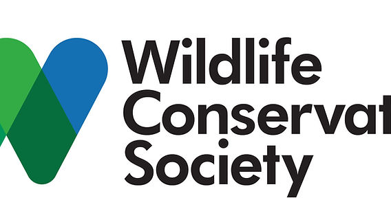 Wildlife Wednesdays