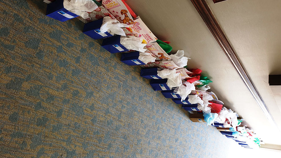 Events & Volunteer Opportunities - Non Profit Partnerships - Toys for Christ 2019 - Pic 6b