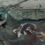 Thumbnail: Koi Pond