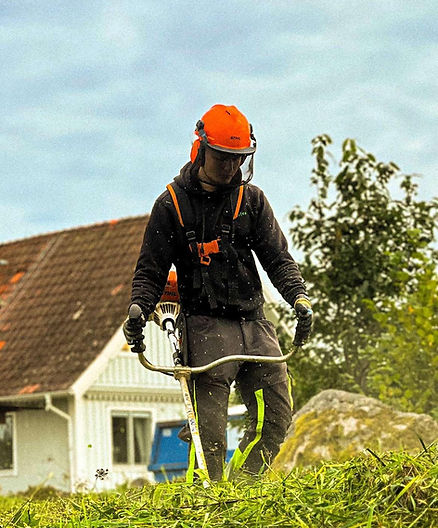 Gräsröjning Hällaryd Matvik