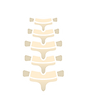 7.png