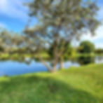 20220125_134303.jpg