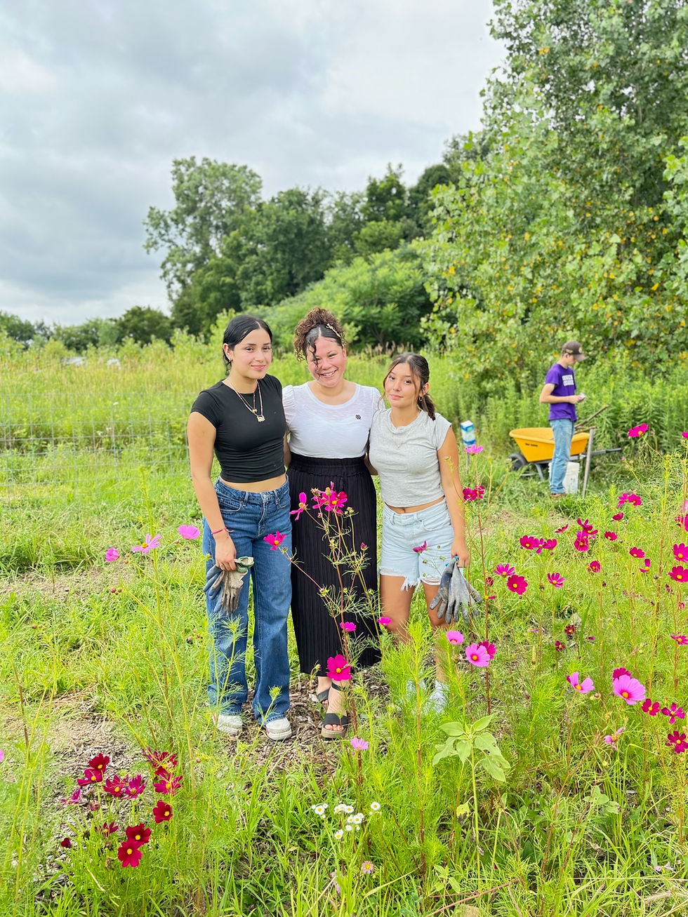 Volunteer Day