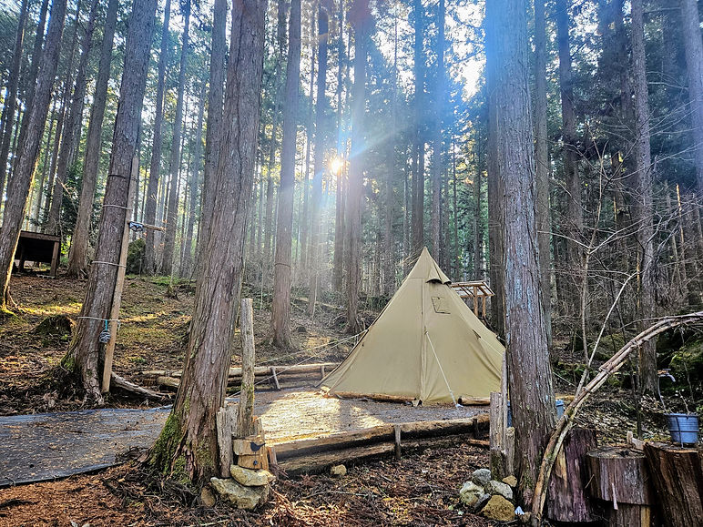 20250124_092920~2 (1).jpg