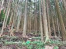 IMG_2023-10-28-09-40-23-863.jpg