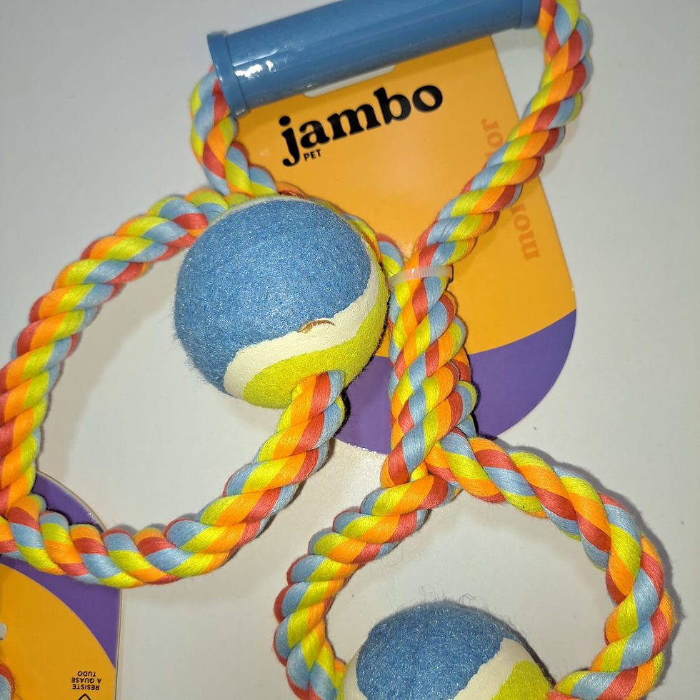 Corda bola de tenis
