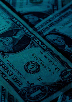 Dollar Notes