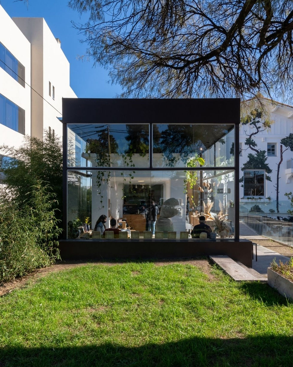 MARCOS SUPERANFIBIO (1).jpg