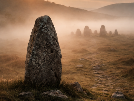Origine supposée du premier caillou de compagnie