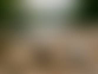 Comment un caillou gère le stress (et pourquoi vous devriez essayer)