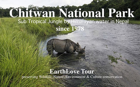 Chitwan　川岸のサイ(National Geographic)のコピー.jpg