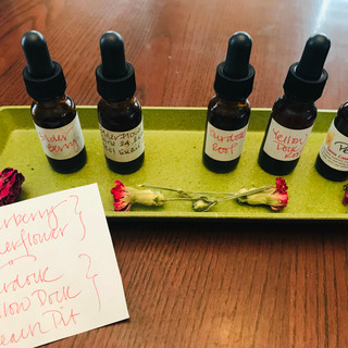 Suggested Tincture Dosing