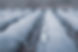 roof.jpeg