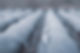 roof.jpeg