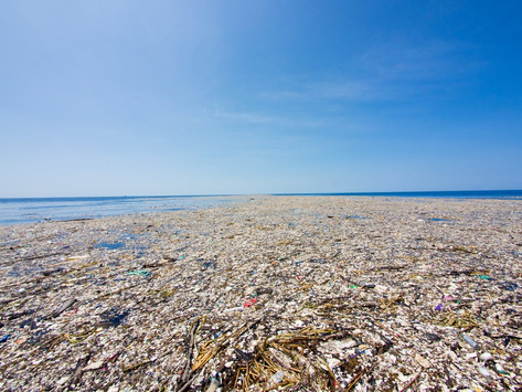 The Fib of Plastics Recycling