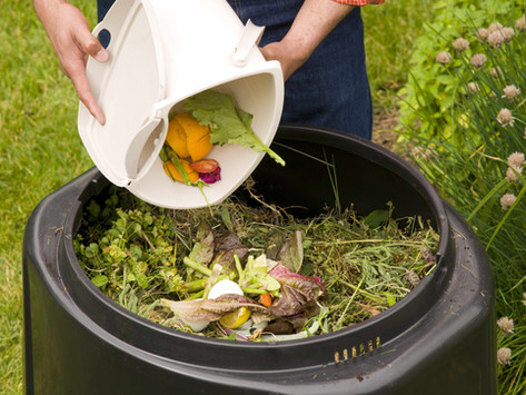 Can Compost Heal the World?