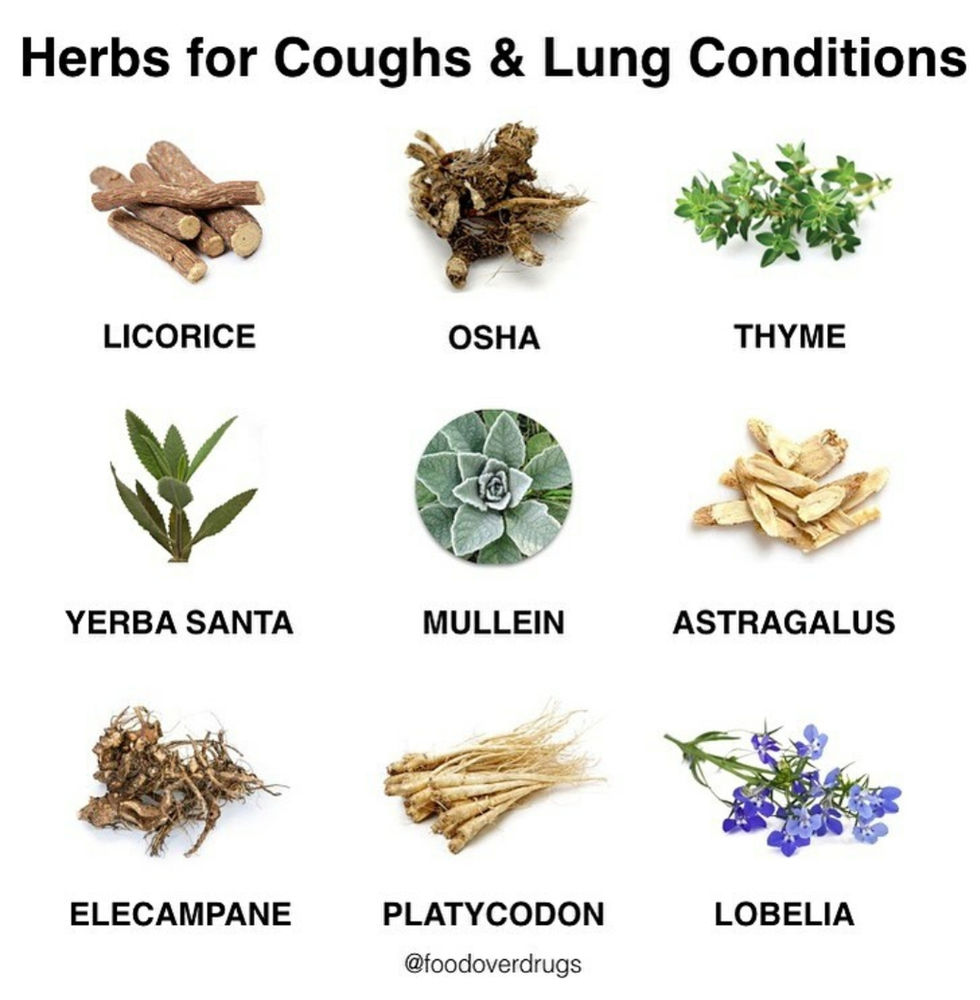 Lung Herbs