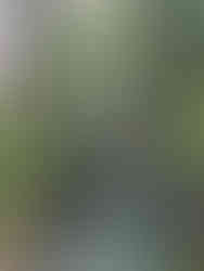 Orrido di Nesso, Lake Como