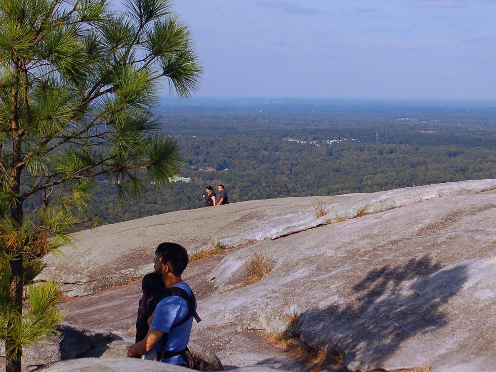 View from top of Stone Mountain Atlanta