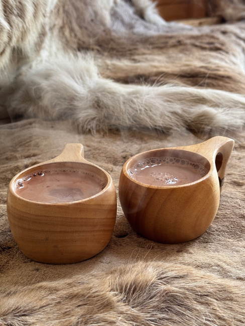 Coffee break on dogsledding tour, Swedish Lapland
