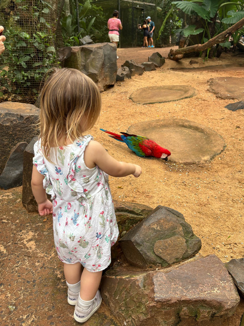 A girl and a bird on the floor