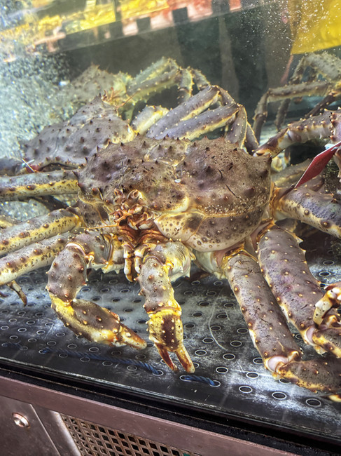 Norwegian king crab at Bergen fish market