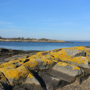 View of Vrango, Gothenburg