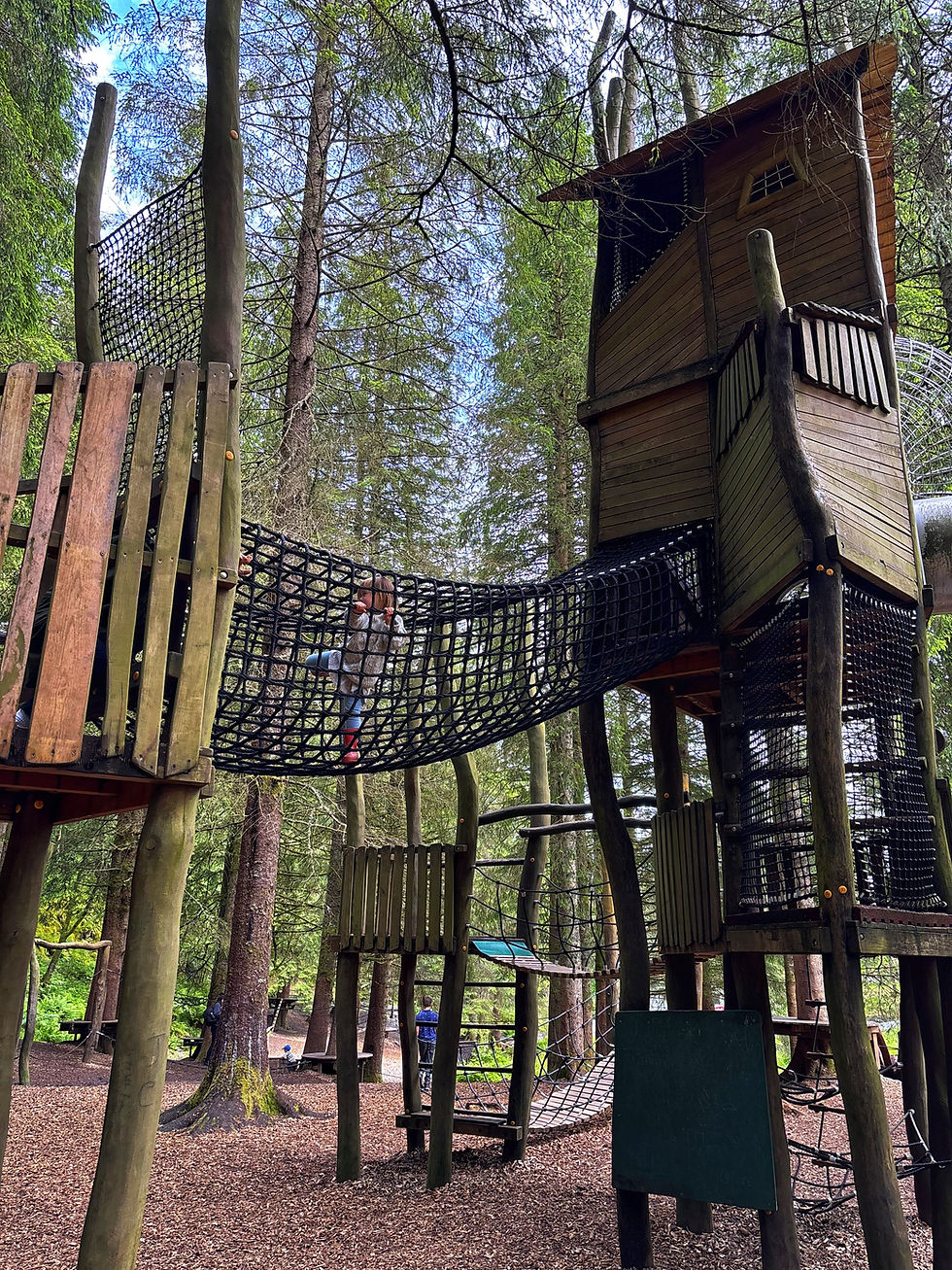 Nature playground on Mount Floyen, Bergen