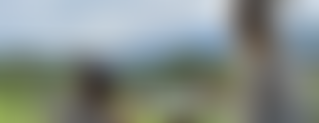 View from Aria Bellagio, Lake Como